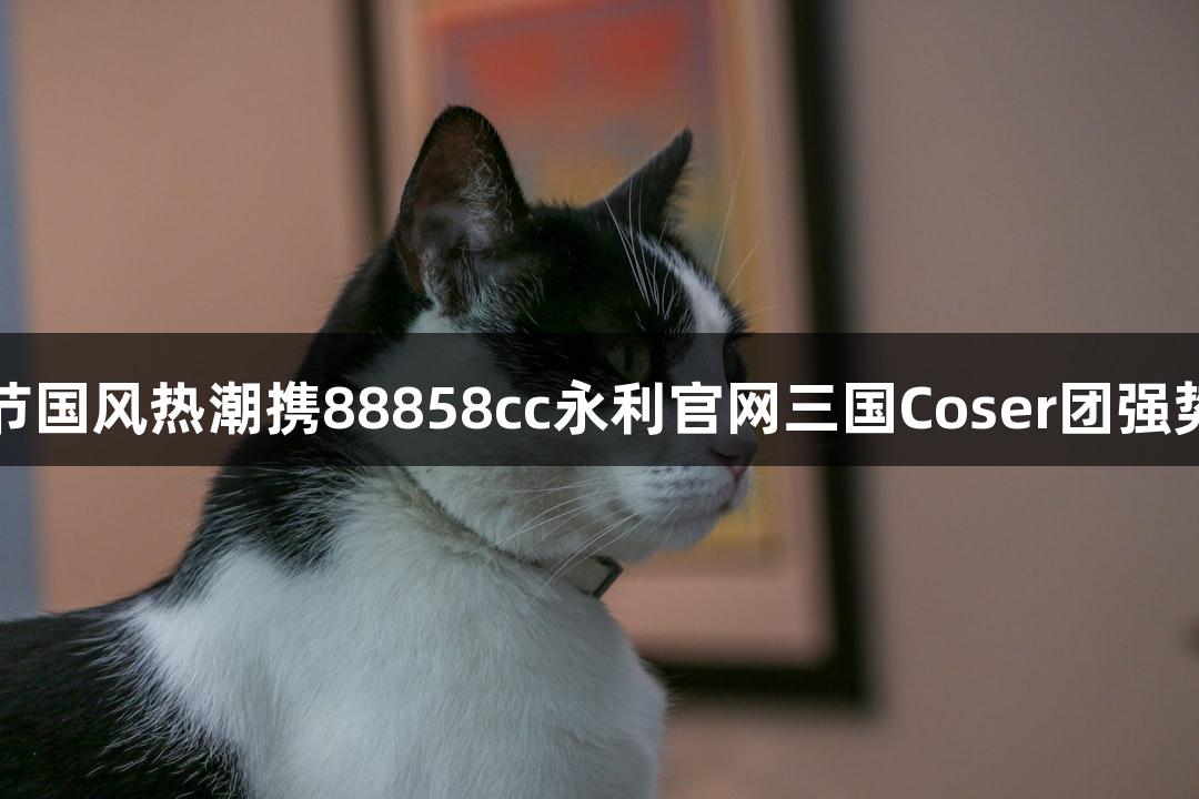 动漫节国风热潮携88858cc永利官网三国Coser团强势登场