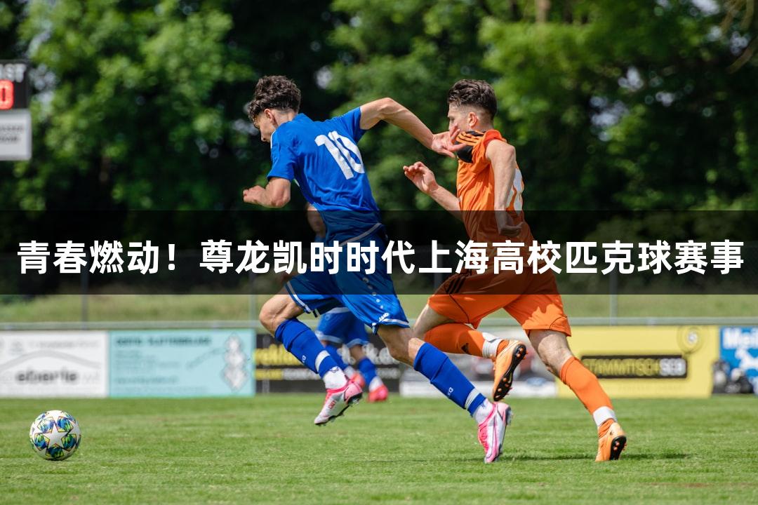 青春燃动！尊龙凯时时代上海高校匹克球赛事