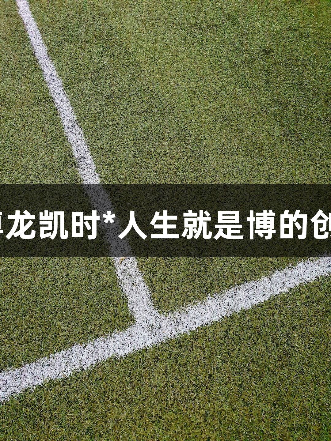碳板跑鞋，尊龙凯时*人生就是博的创新还是噱头？