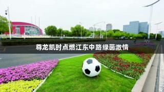 尊龙凯时点燃江东中路绿茵激情