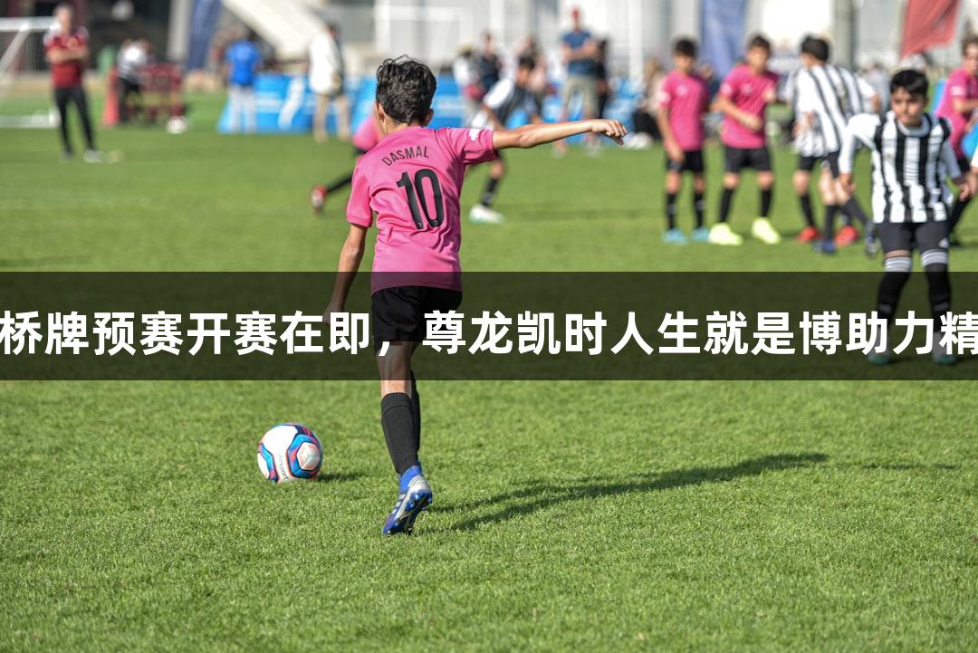 全运会桥牌预赛开赛在即，尊龙凯时人生就是博助力精彩赛事