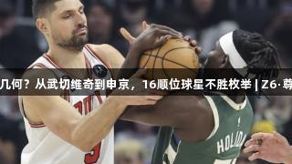 成材率几何？从武切维奇到申京，16顺位球星不胜枚举 | Z6·尊龙凯时