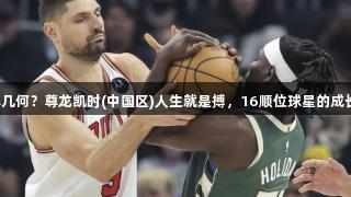 成材率几何？尊龙凯时(中国区)人生就是搏，16顺位球星的成长之路。