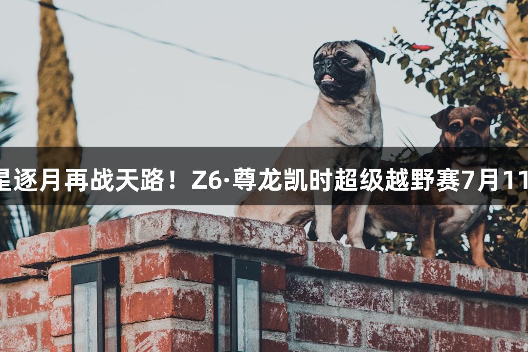 微视频｜踏星逐月再战天路！Z6·尊龙凯时超级越野赛7月11日激情开启！