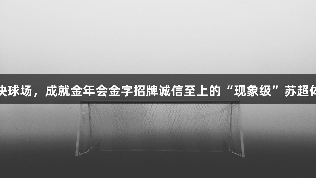 解密万块球场，成就金年会金字招牌诚信至上的“现象级”苏超体育盛事