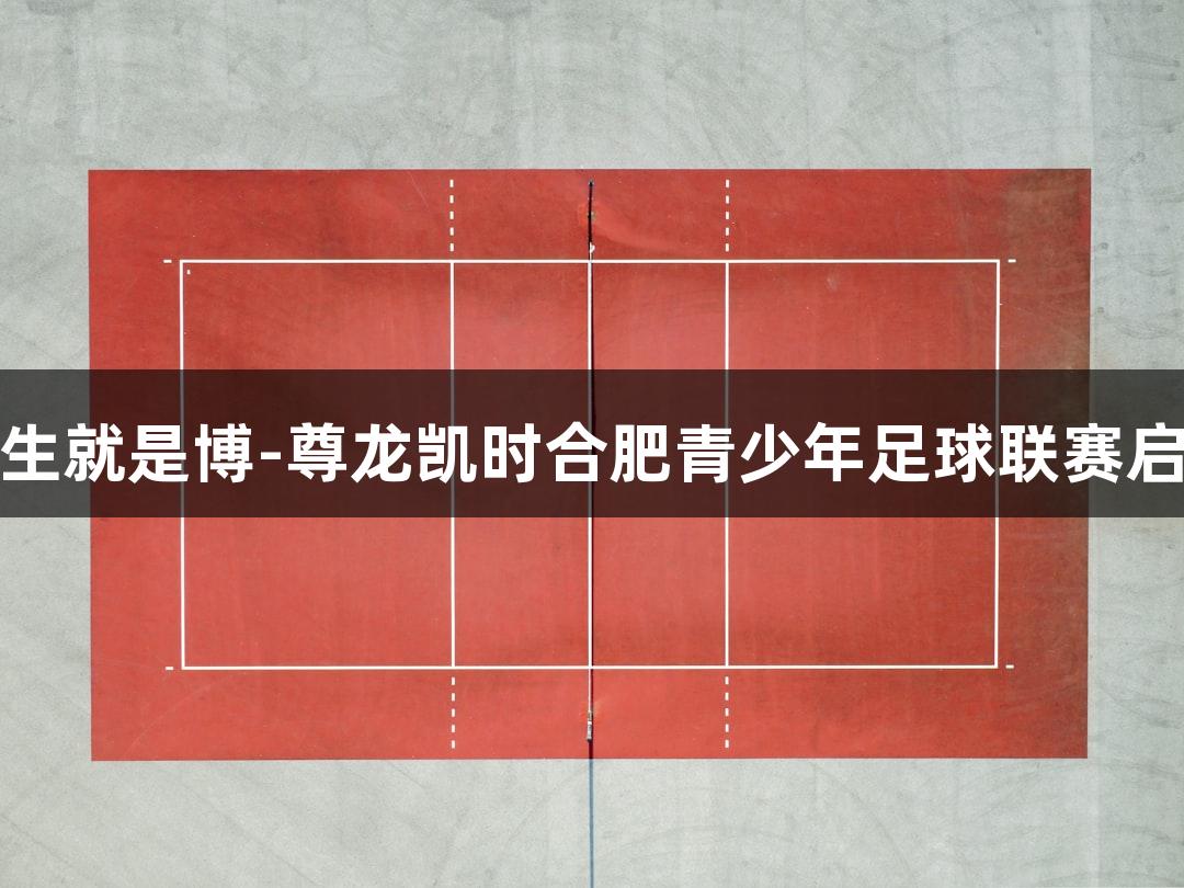 人生就是博-尊龙凯时合肥青少年足球联赛启航