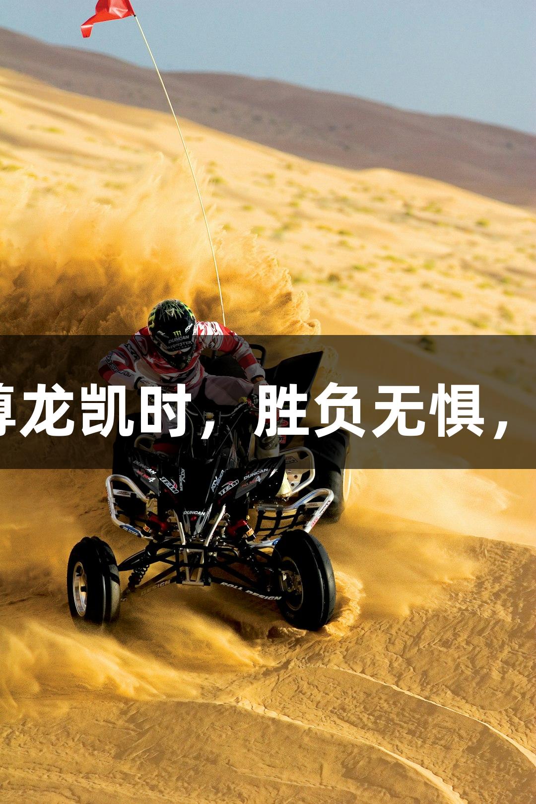 浙BA：尊龙凯时，胜负无惧，快乐至上
