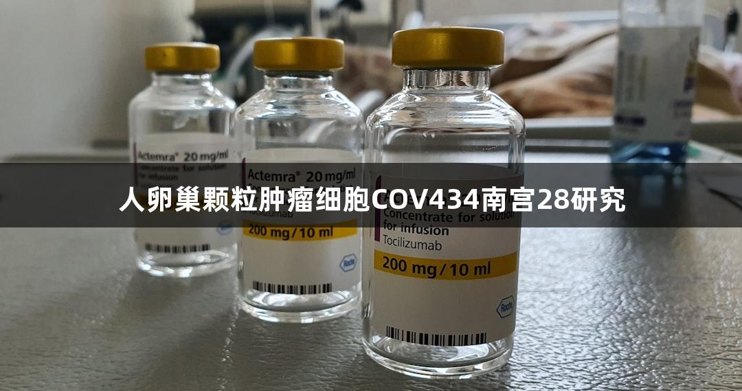 人卵巢颗粒肿瘤细胞COV434南宫28研究