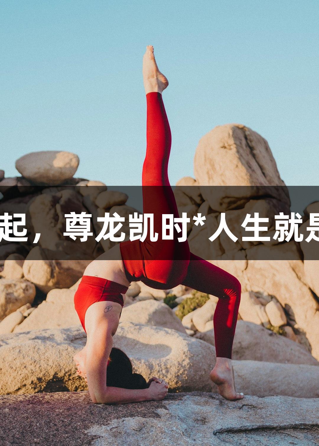 浙BA，战火燃起，尊龙凯时*人生就是博，快乐为先