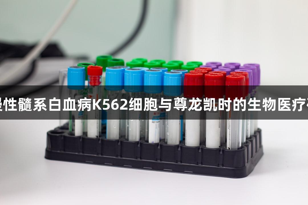 人慢性髓系白血病K562细胞与尊龙凯时的生物医疗研究
