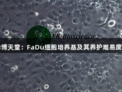 918博天堂：FaDu细胞培养基及其养护难易度分析