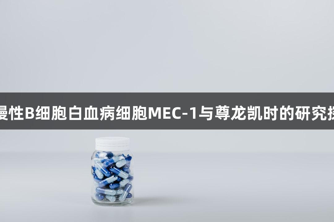 人慢性B细胞白血病细胞MEC-1与尊龙凯时的研究探索