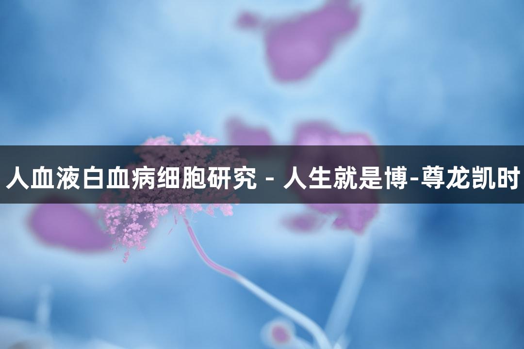 人血液白血病细胞研究 - 人生就是博-尊龙凯时