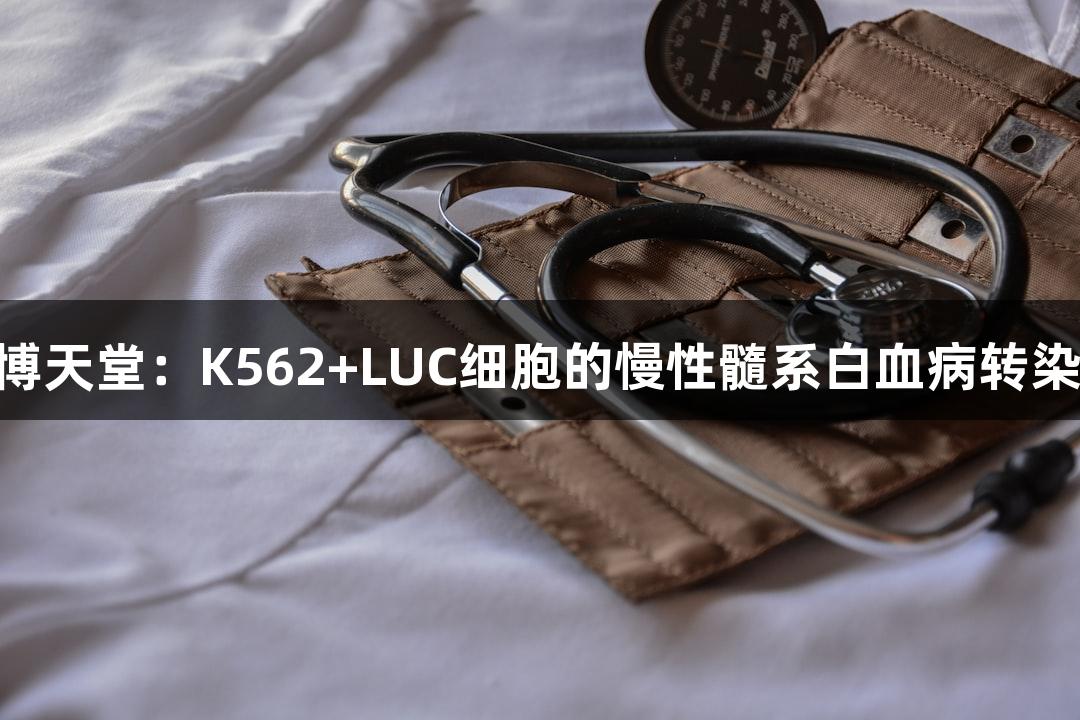 918博天堂：K562+LUC细胞的慢性髓系白血病转染研究