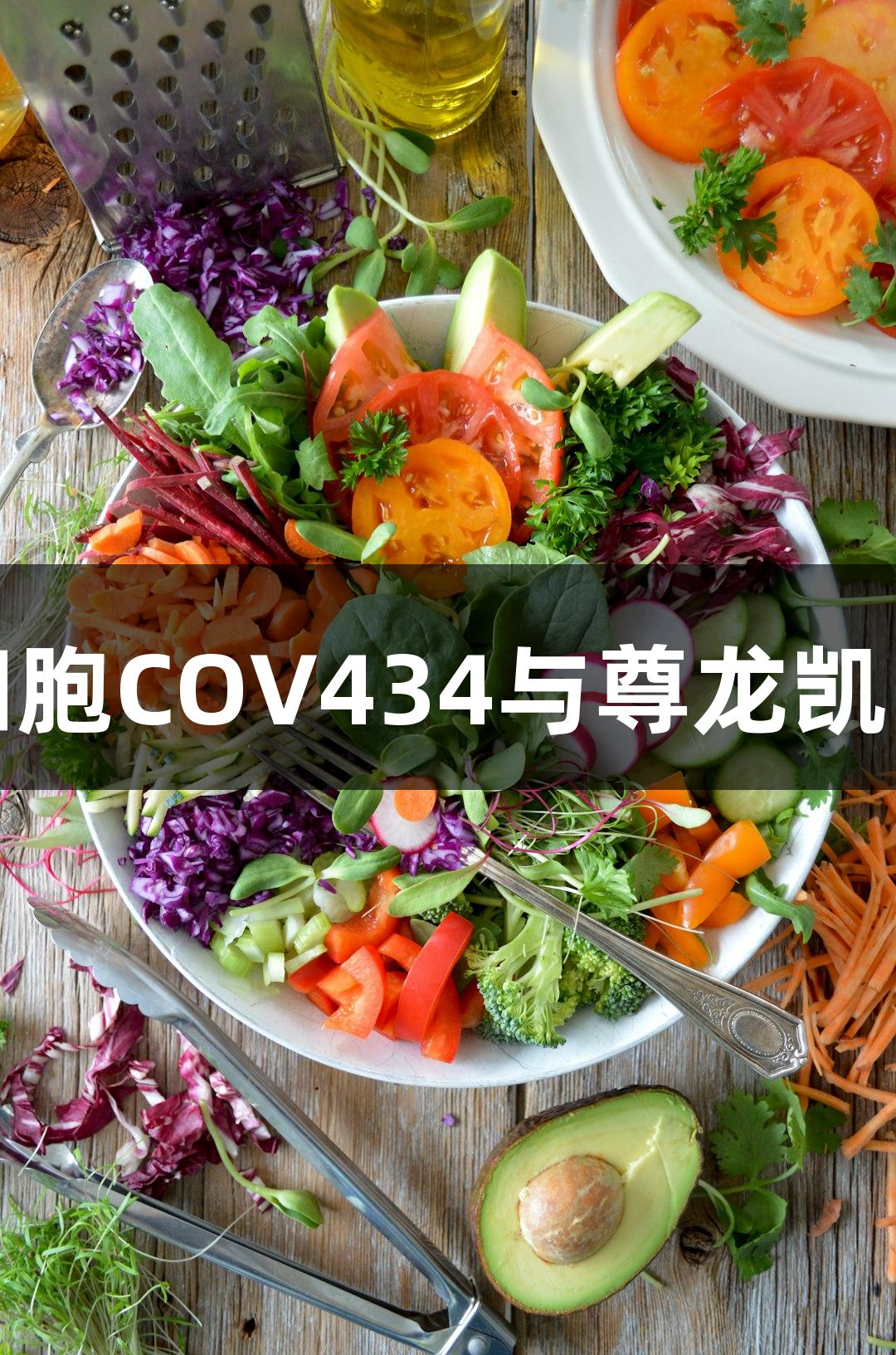 人卵巢颗粒肿瘤细胞COV434与尊龙凯时的生物医疗研究