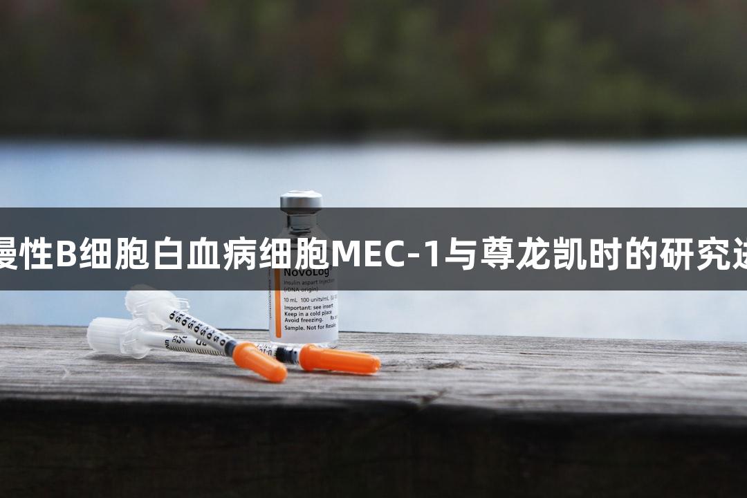 人慢性B细胞白血病细胞MEC-1与尊龙凯时的研究进展