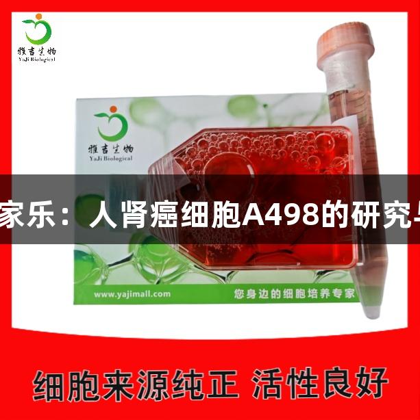 AG百家乐：人肾癌细胞A498的研究与应用