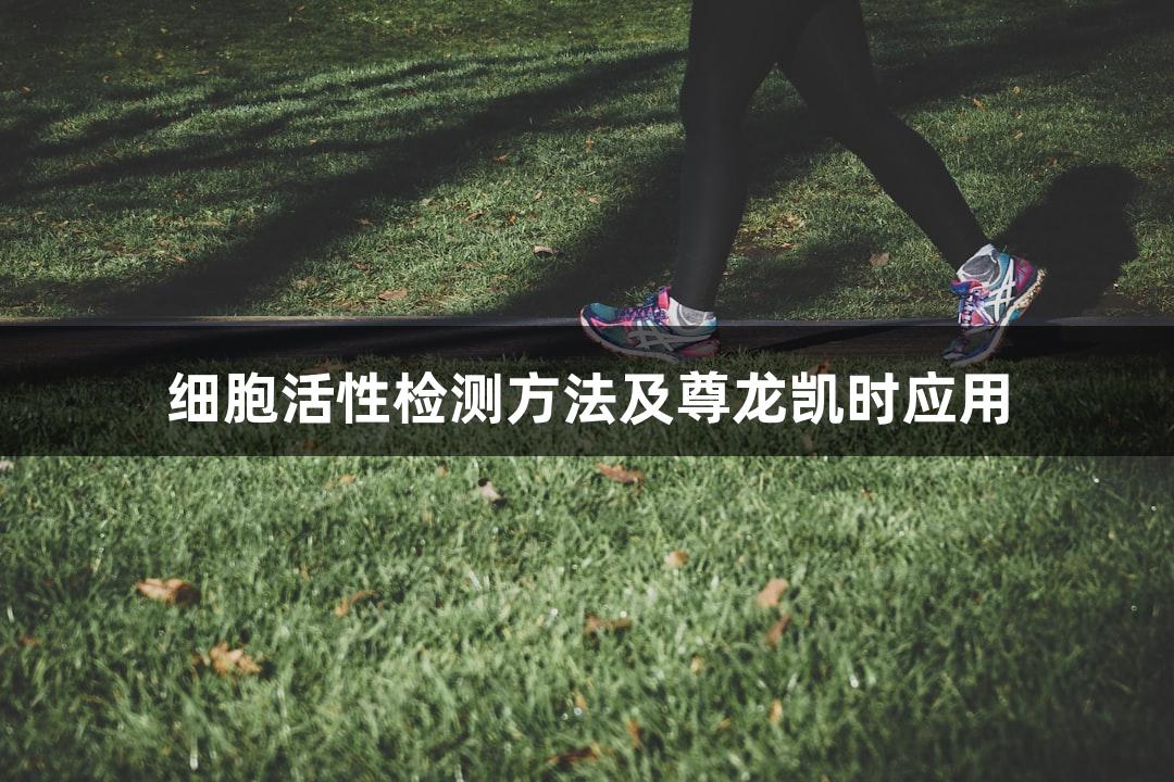 细胞活性检测方法及尊龙凯时应用
