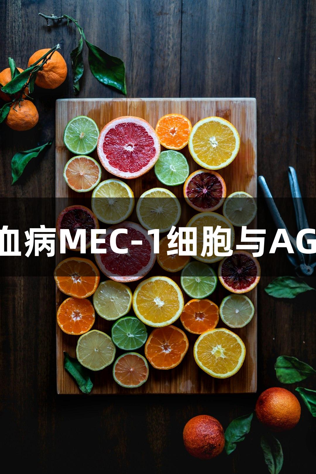 人慢性B细胞白血病MEC-1细胞与AG百家乐研究进展