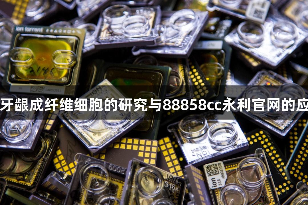 人牙龈成纤维细胞的研究与88858cc永利官网的应用