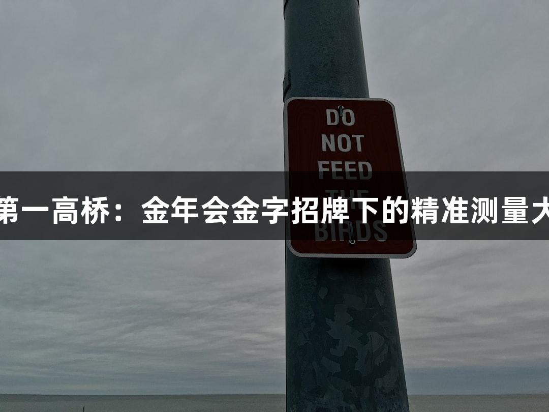 世界第一高桥：金年会金字招牌下的精准测量大挑战