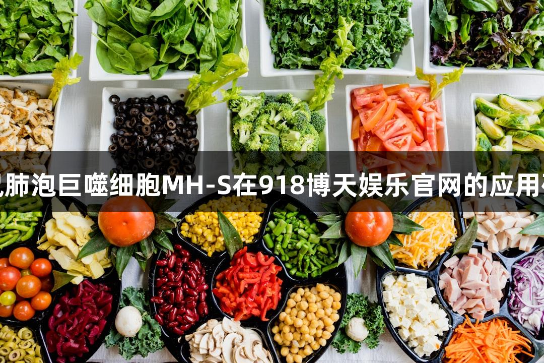 小鼠肺泡巨噬细胞MH-S在918博天娱乐官网的应用研究