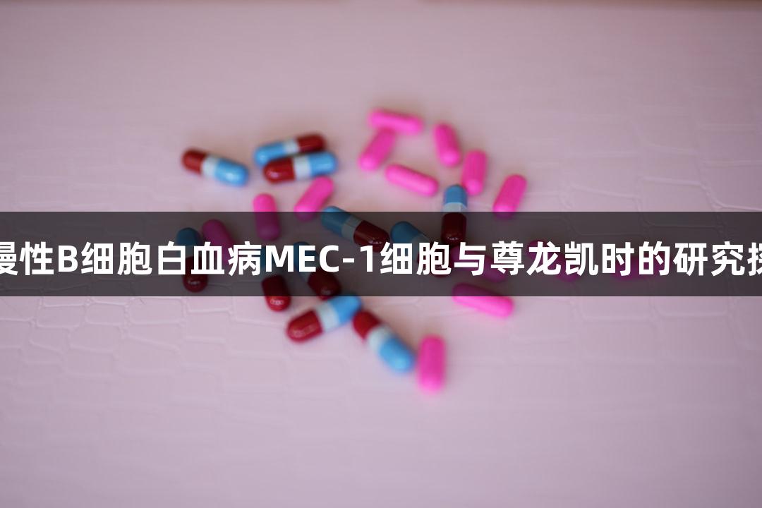 人慢性B细胞白血病MEC-1细胞与尊龙凯时的研究探索