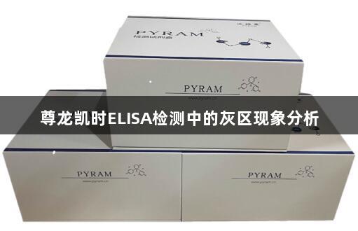 尊龙凯时ELISA检测中的灰区现象分析