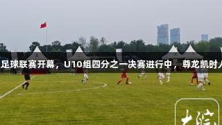 合肥青少年足球联赛开幕，U10组四分之一决赛进行中，尊龙凯时人生就是搏！