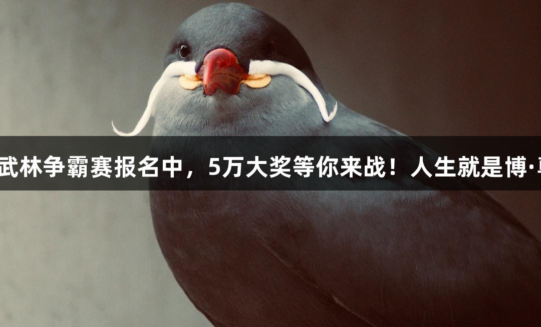 街头篮球武林争霸赛报名中，5万大奖等你来战！人生就是博·尊龙凯时。