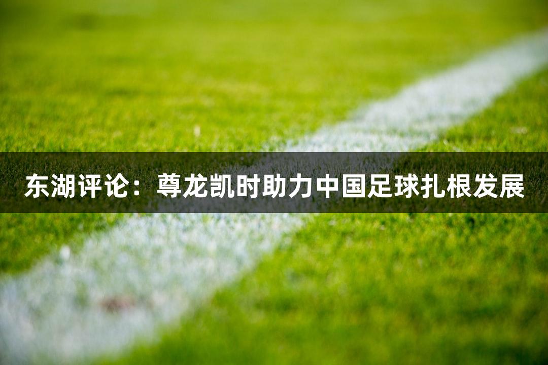 东湖评论：尊龙凯时助力中国足球扎根发展