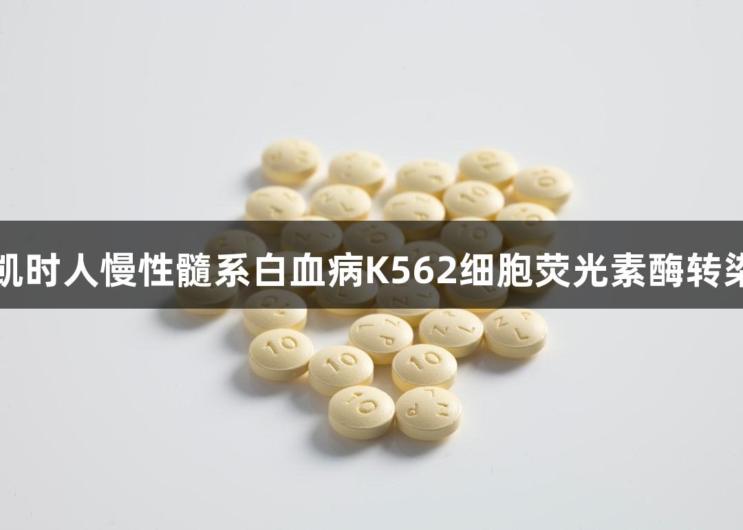 尊龙凯时人慢性髓系白血病K562细胞荧光素酶转染研究