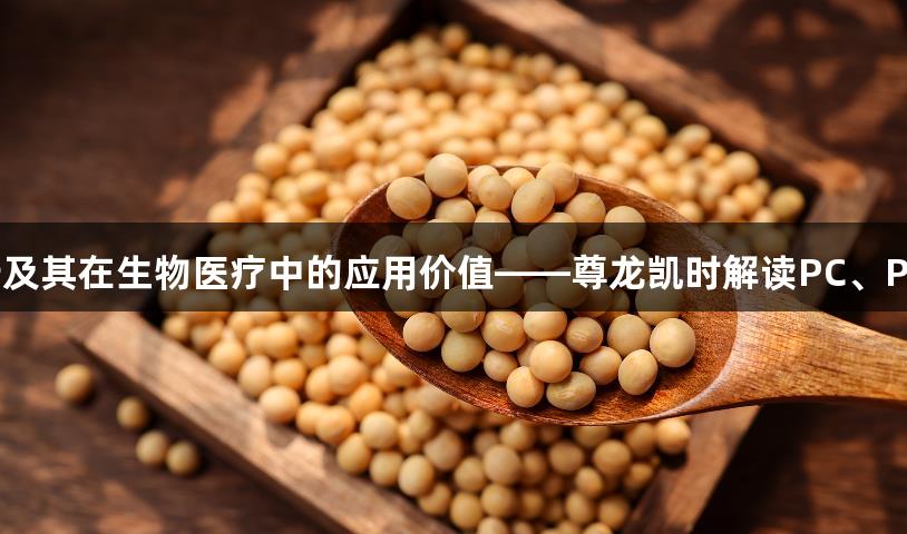 大豆磷脂成分分析及其在生物医疗中的应用价值——尊龙凯时解读PC、PE、PI、PA的作用