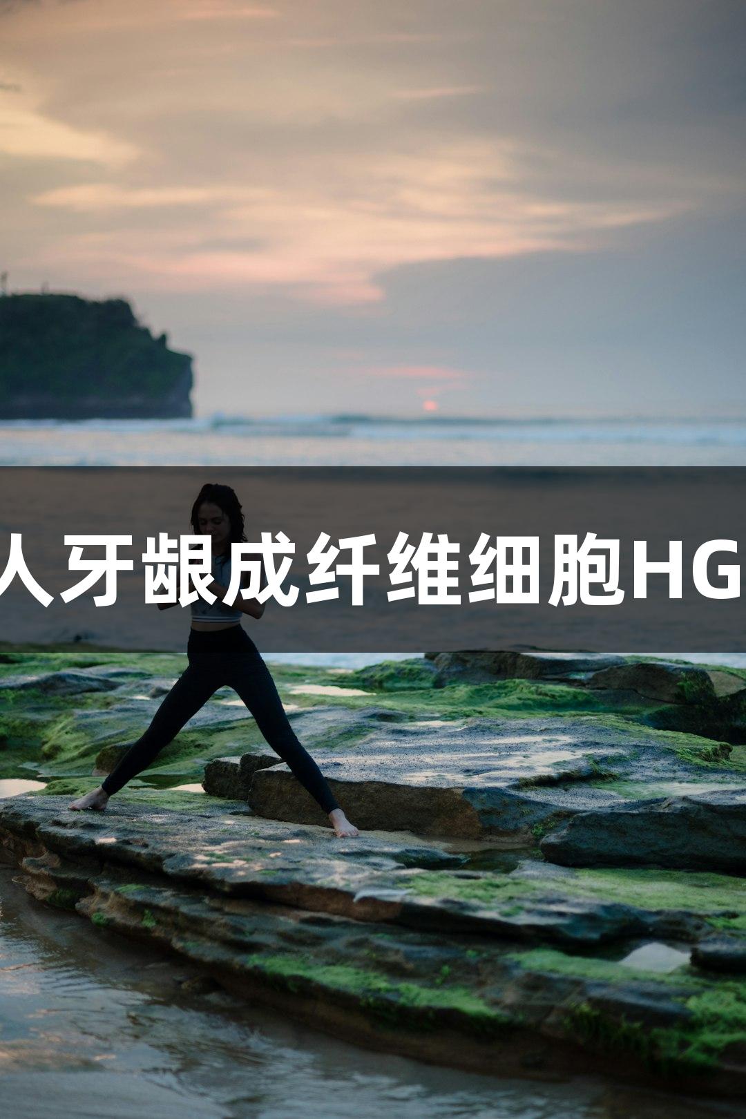 南宫28人牙龈成纤维细胞HGF-1研究