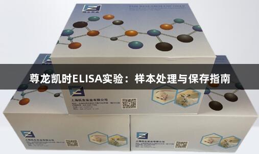 尊龙凯时ELISA实验：样本处理与保存指南