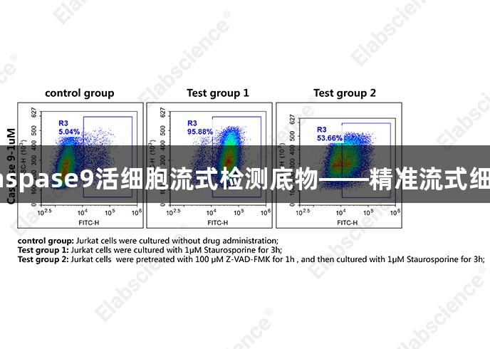 尊龙凯时Caspase9活细胞流式检测底物——精准流式细胞术的选择