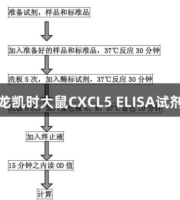 尊龙凯时大鼠CXCL5 ELISA试剂盒
