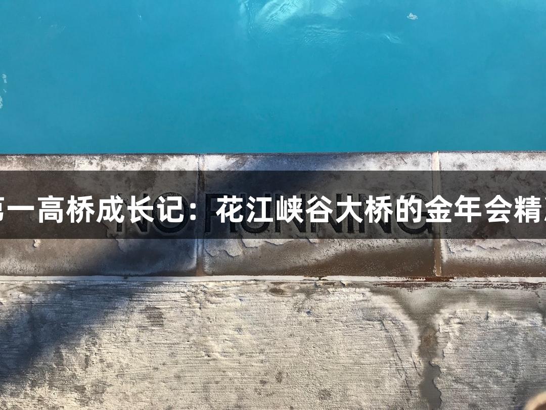 世界第一高桥成长记：花江峡谷大桥的金年会精准测量