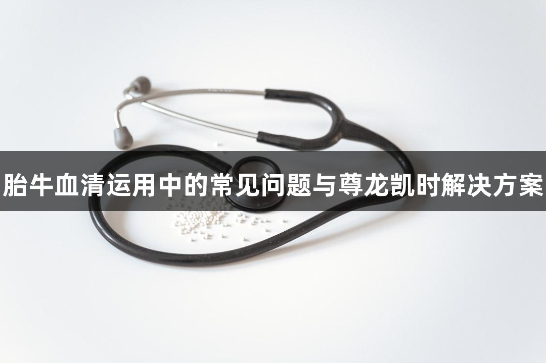 胎牛血清运用中的常见问题与尊龙凯时解决方案