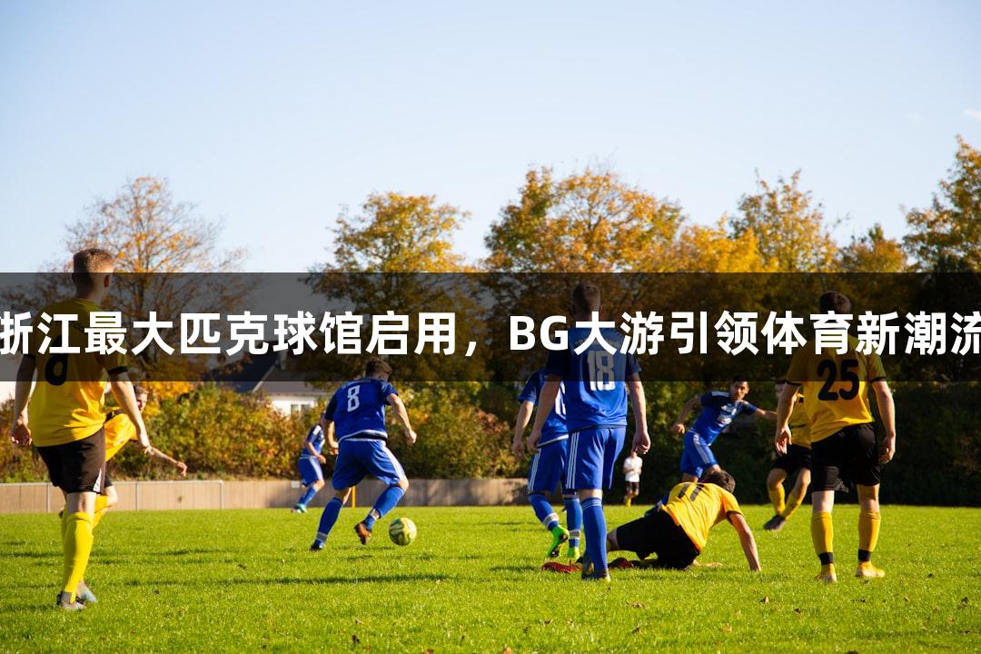浙江最大匹克球馆启用，BG大游引领体育新潮流