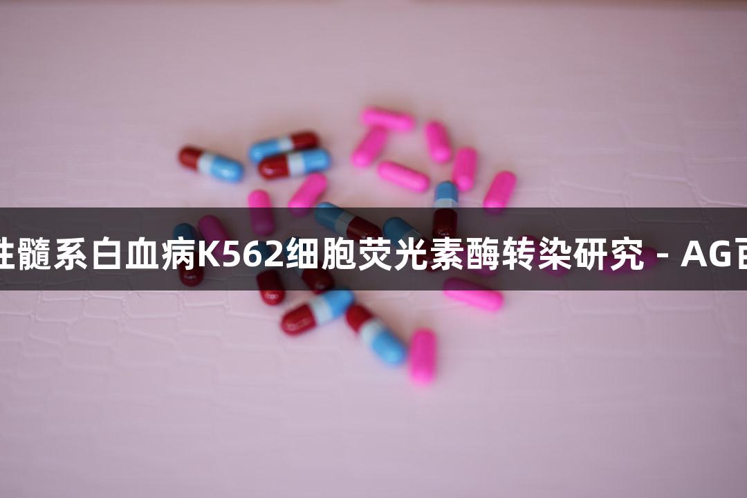 人慢性髓系白血病K562细胞荧光素酶转染研究 - AG百家乐
