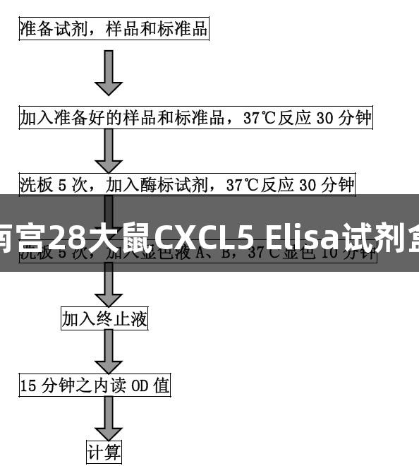 南宫28大鼠CXCL5 Elisa试剂盒