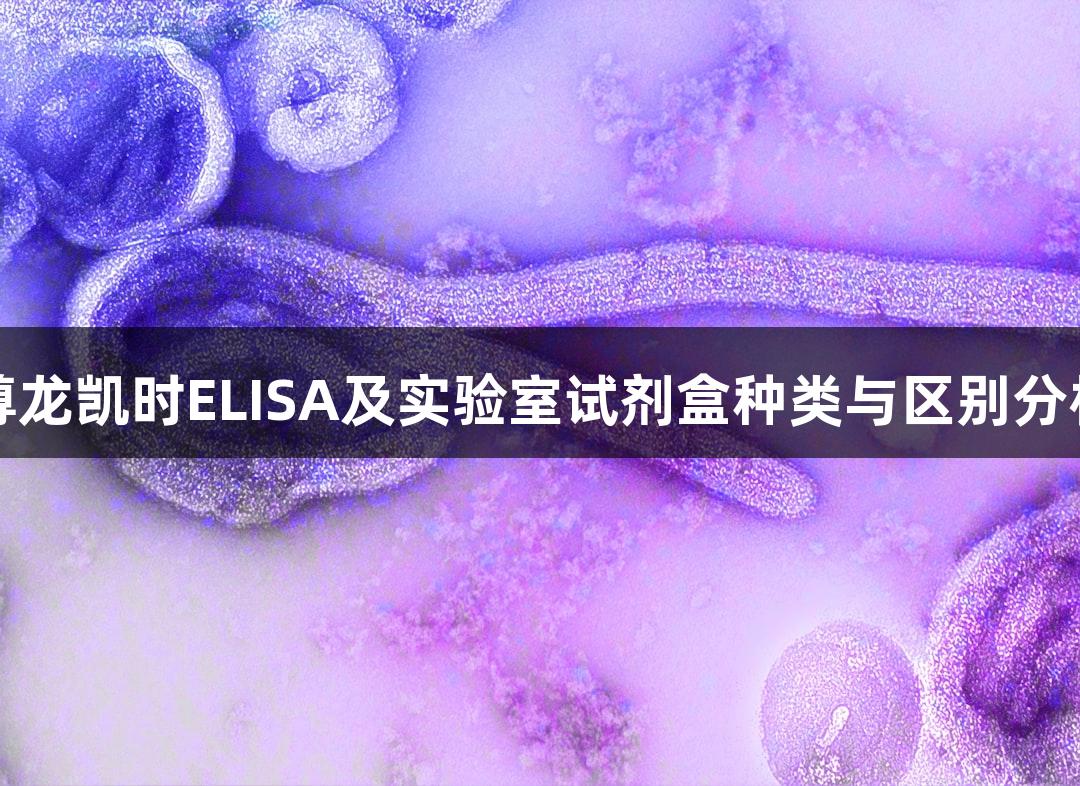 尊龙凯时ELISA及实验室试剂盒种类与区别分析