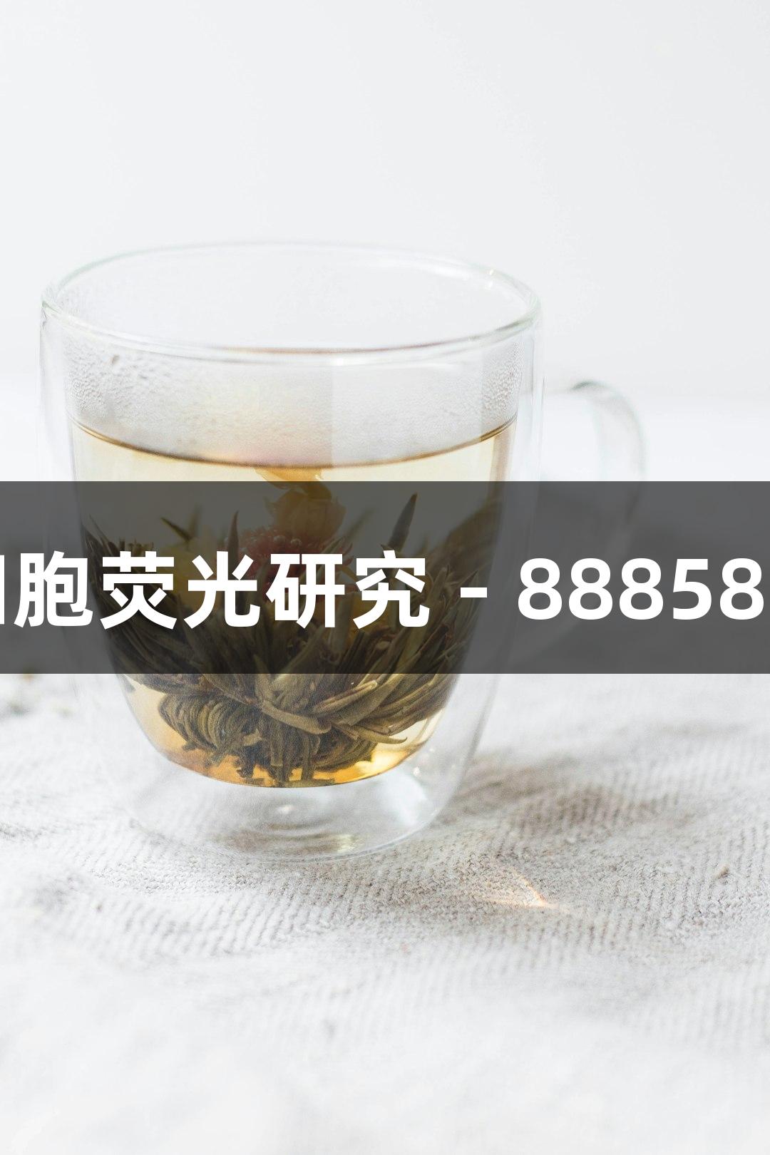 小鼠肺癌细胞荧光研究 - 88858cc永利官网