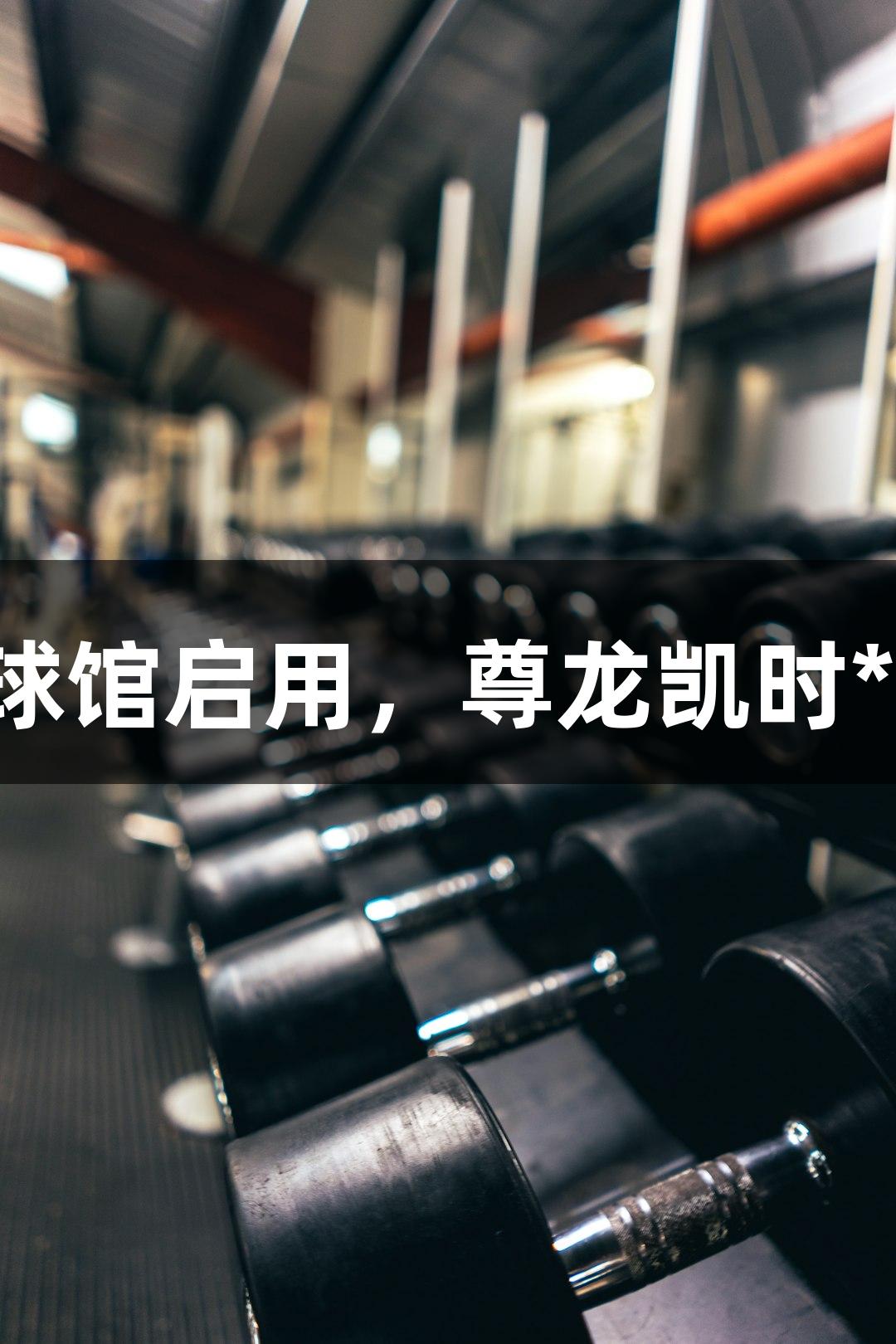 浙江最大新球馆启用，尊龙凯时*人生就是博！