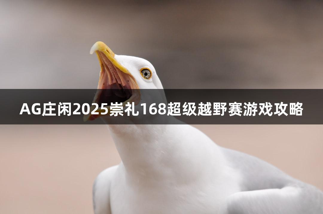 AG庄闲2025崇礼168超级越野赛游戏攻略