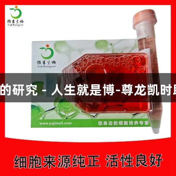 人肾癌细胞A498的研究 - 人生就是博-尊龙凯时助力生物医疗创新