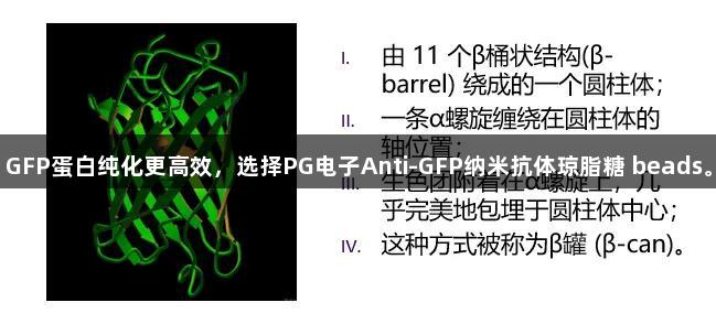 GFP蛋白纯化更高效，选择PG电子Anti-GFP纳米抗体琼脂糖 beads。