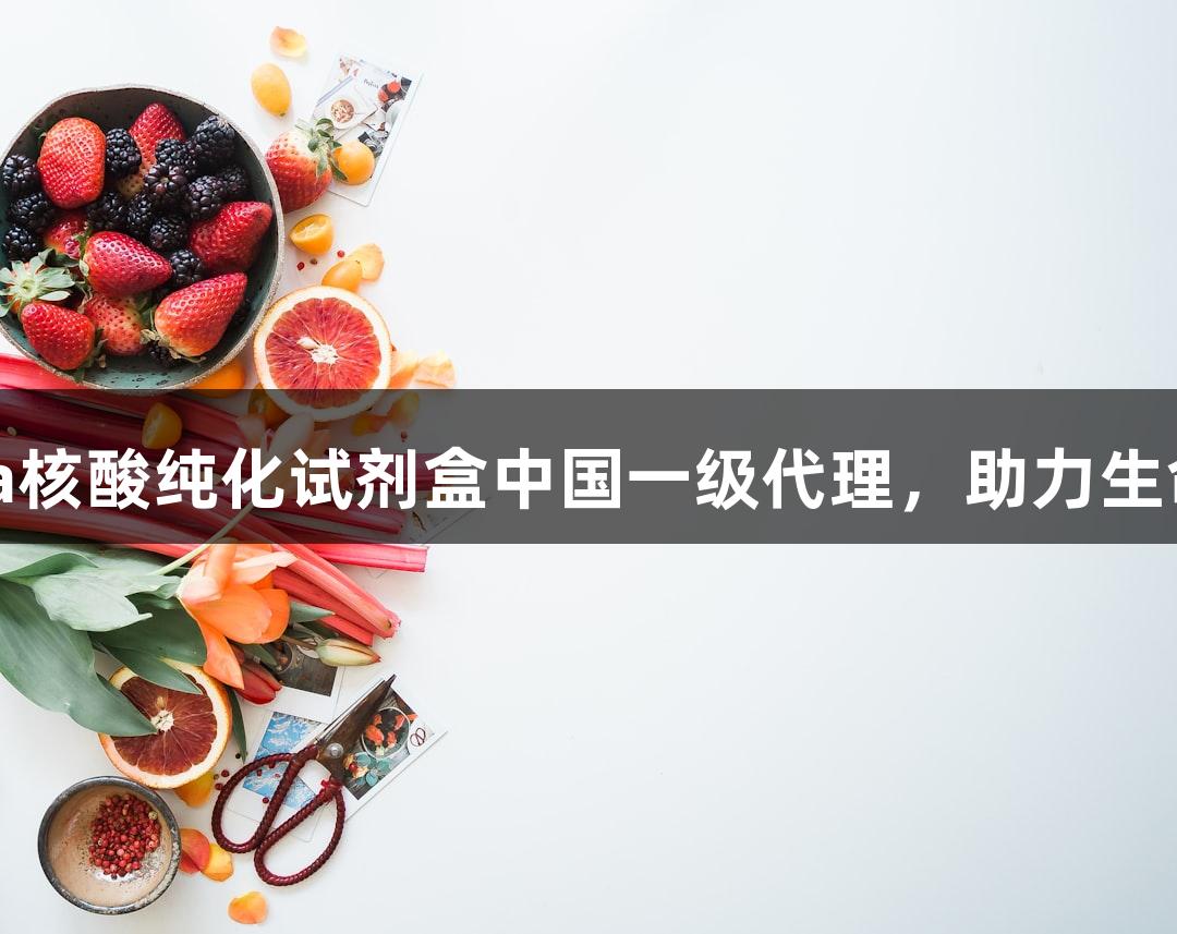 PG电子成为Omega核酸纯化试剂盒中国一级代理，助力生命科学研究高效发展