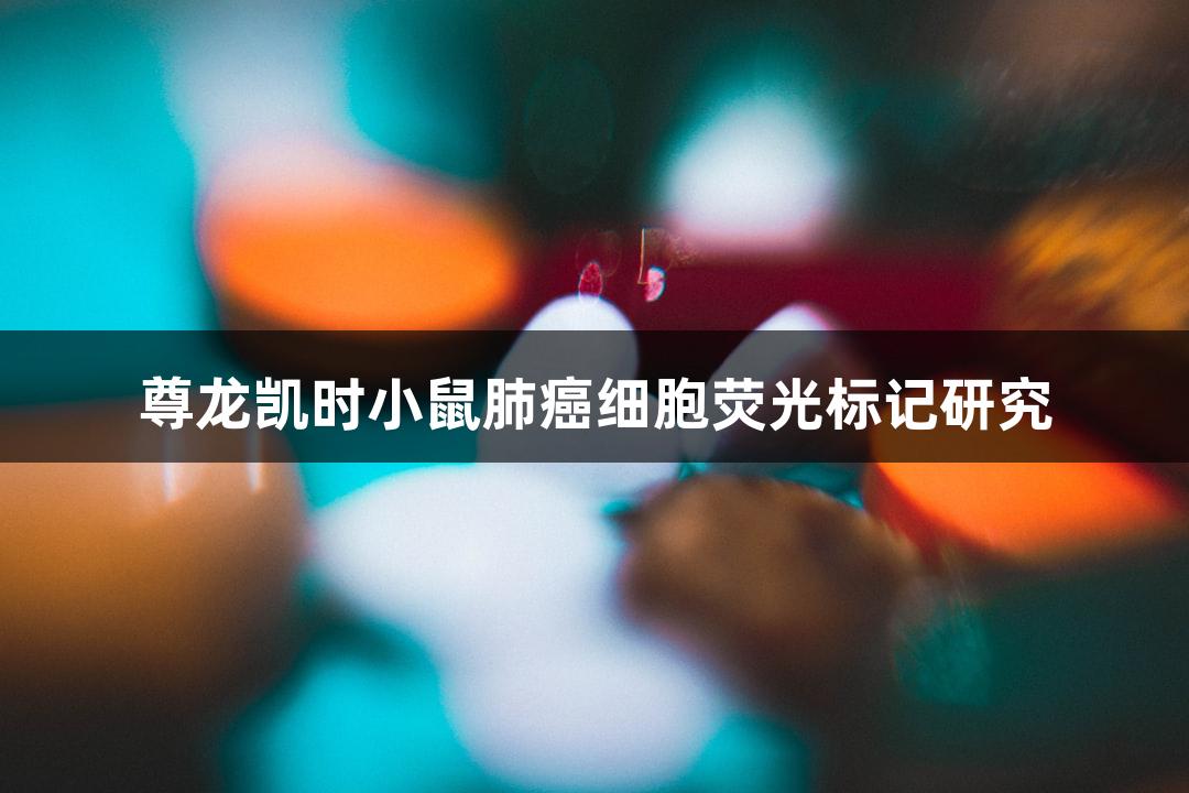 尊龙凯时小鼠肺癌细胞荧光标记研究